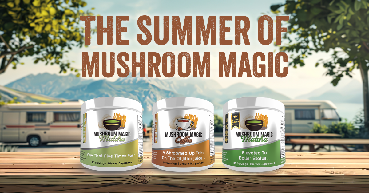 the summer of mushroom magic